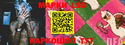 ECSTASY Новодвинск