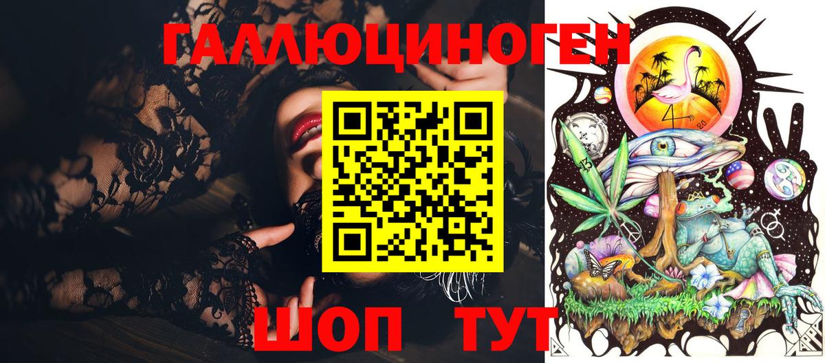 Галлюциногенные грибы Psilocybe Спасск-Дальний