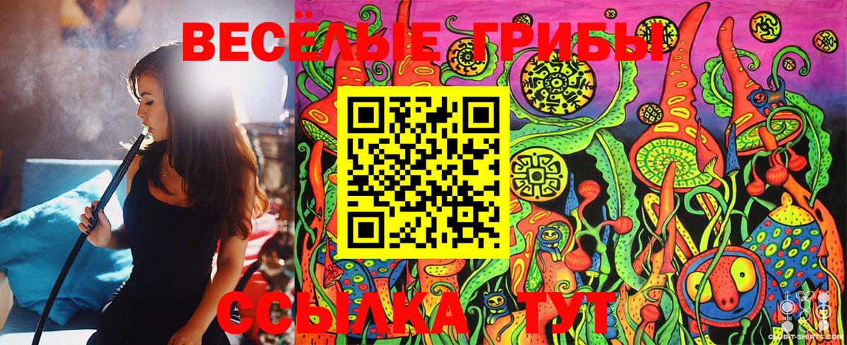 Спасск-Дальний  Псилоцибиновые грибы Psilocybe  купить наркоту  Вход с VPN 